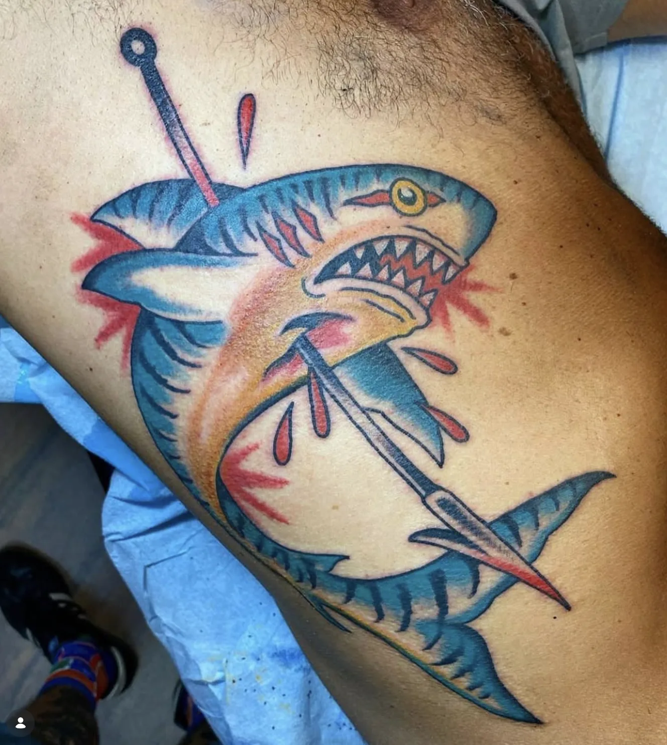 Blue shark pierced by a harpoon